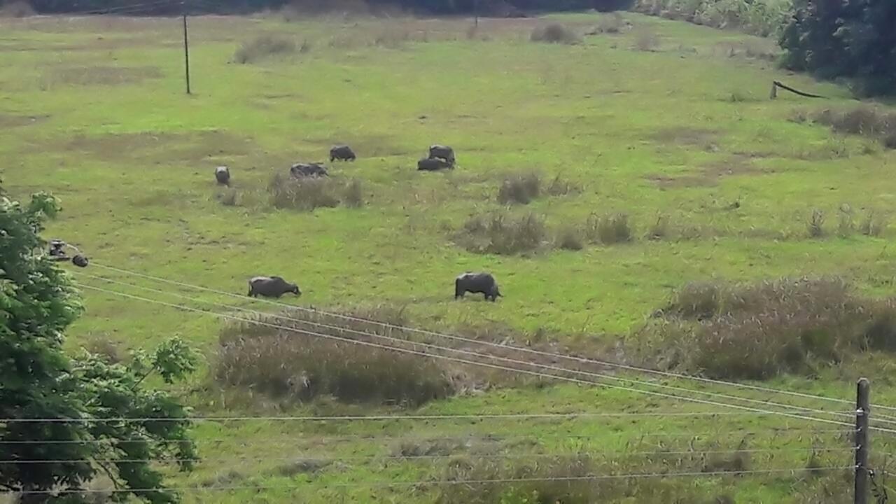Mirissa Eco Hills 빌라 외부 사진